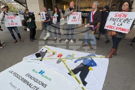 France Shein Sex Dolls