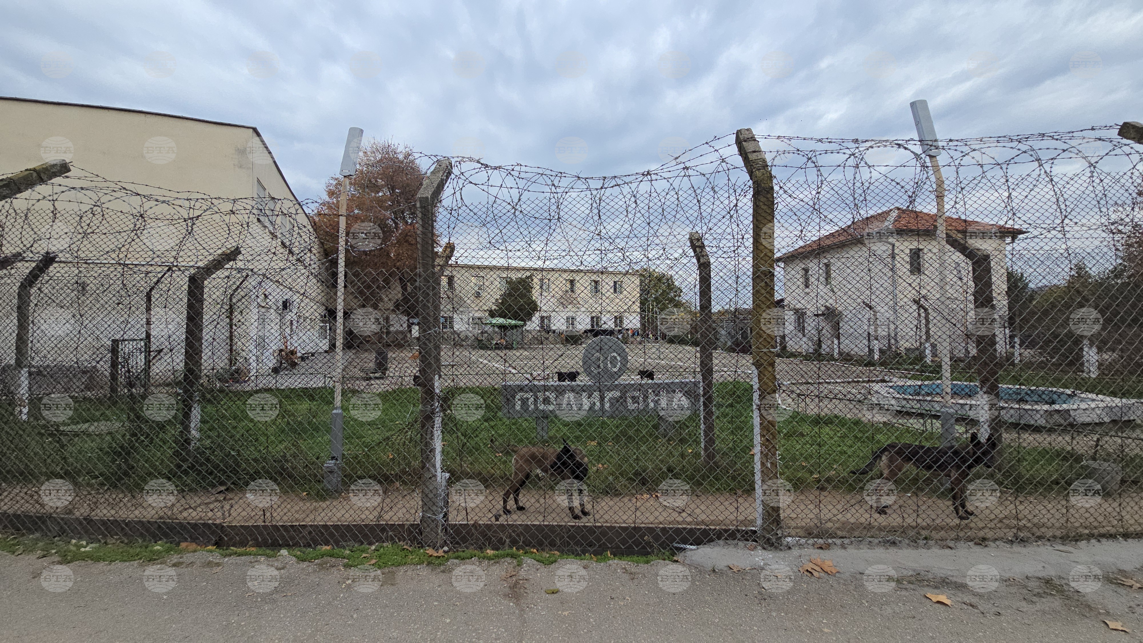 Около 40 полицаи са издирвали двамата избягали затворници в Ловеч