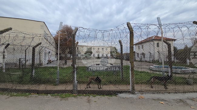 Около 40 полицаи са издирвали двамата избягали затворници в Ловеч