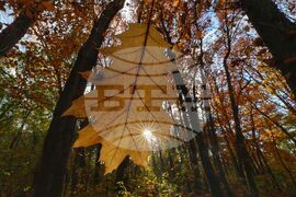 Есен - листопад