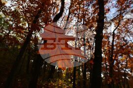 Есен - листопад