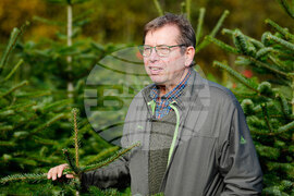 Germany Christmas Tree Harvest