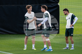 Italy Soccer Champions League