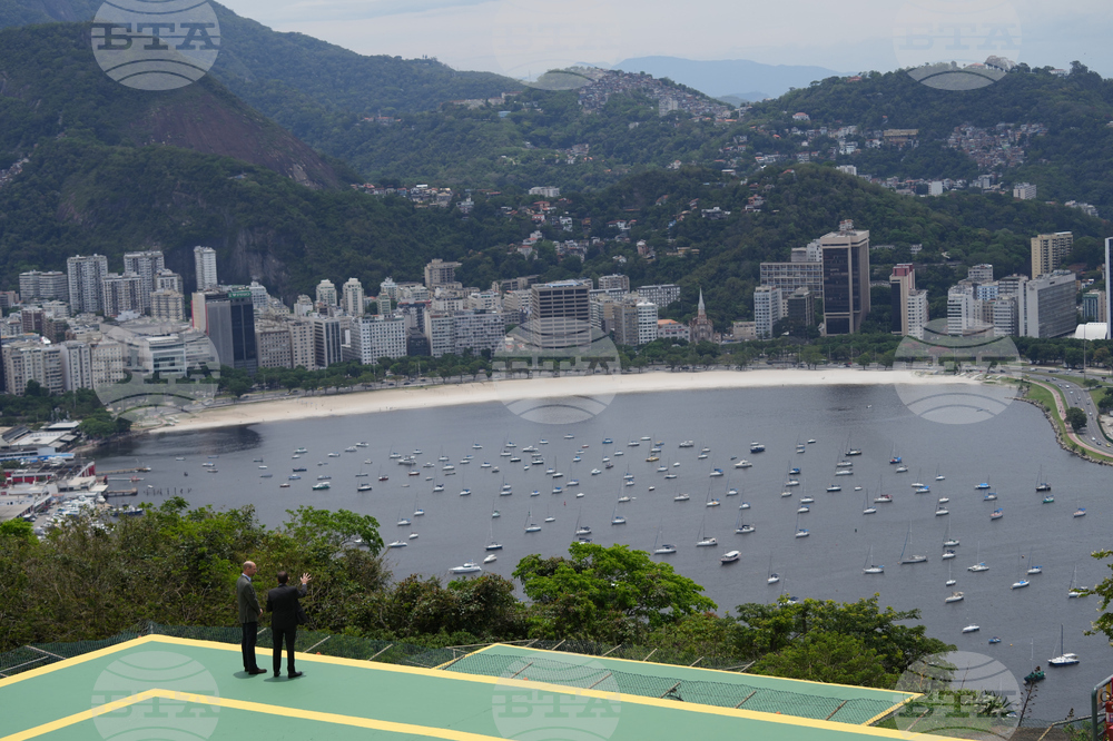 Brazil Prince William