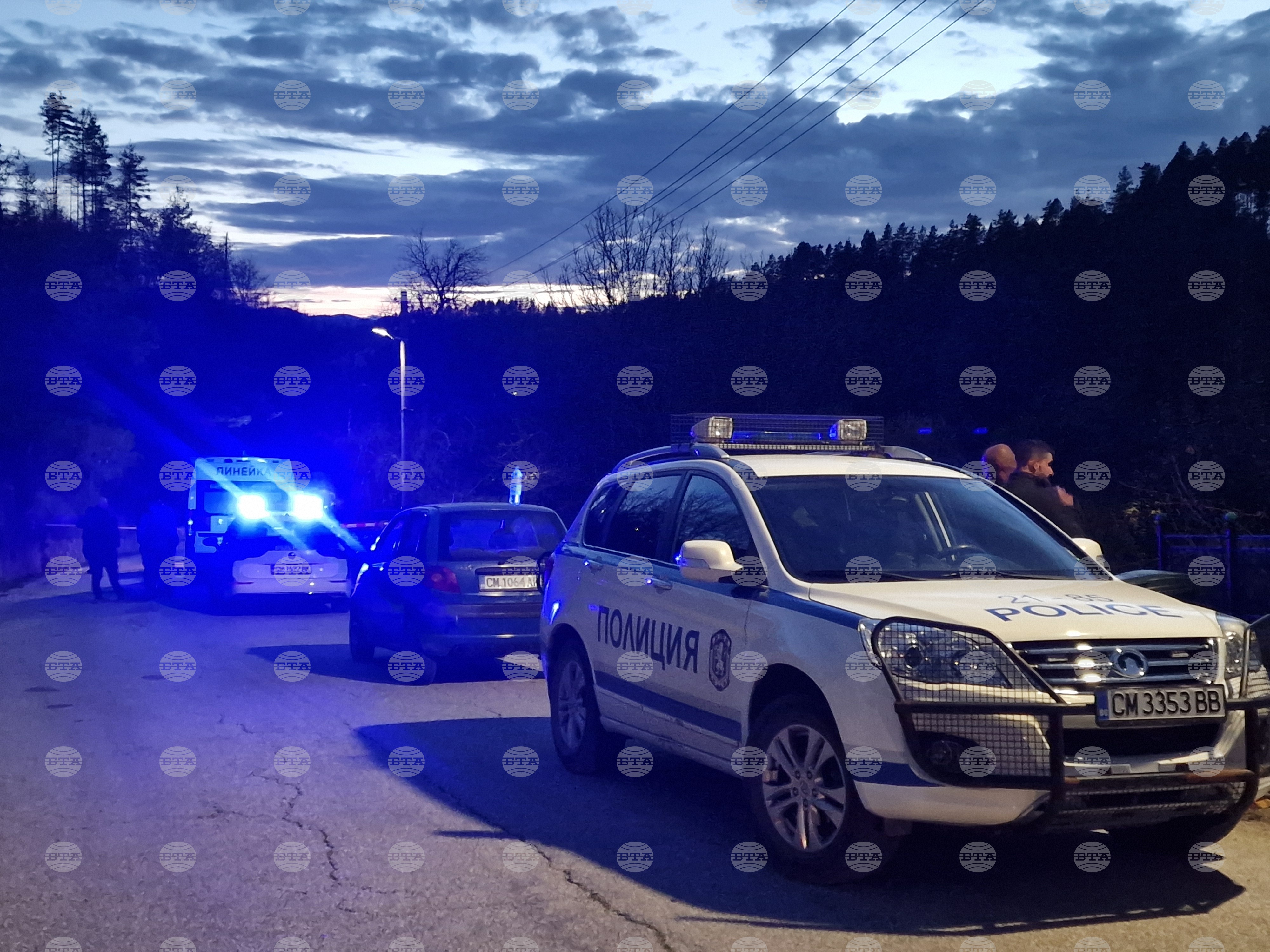 V bolgarskem kraju Polkovnik Serafimovo tovornjak z lesom trčil v zid, voznik umrl