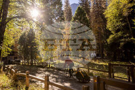 Government Shutdown-Yosemite