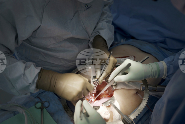 Pig Human Transplants