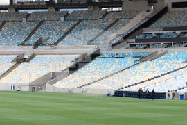 Brazil Prince William