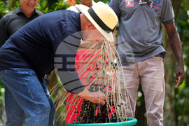 Brazil Climate COP30