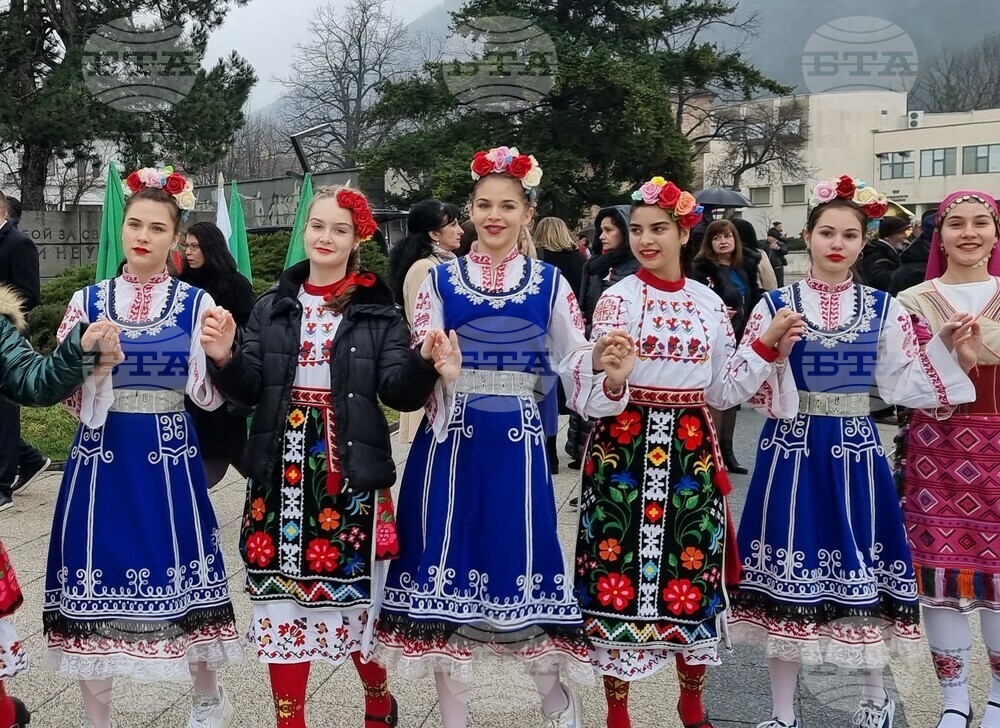 Враца - Трети март - отбелязване