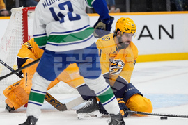 Canucks Predators Hockey