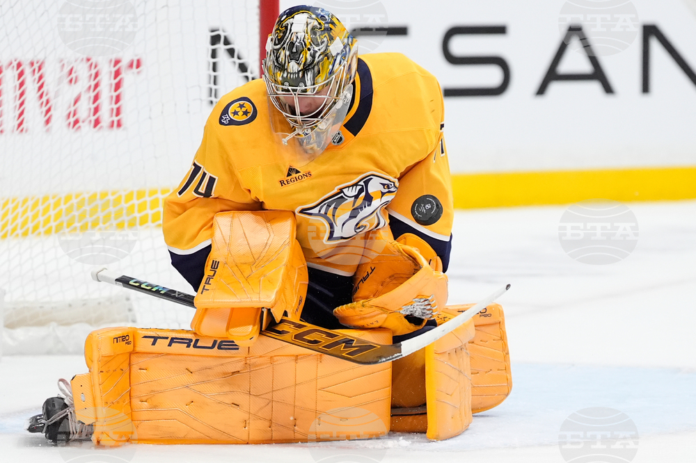 Canucks Predators Hockey