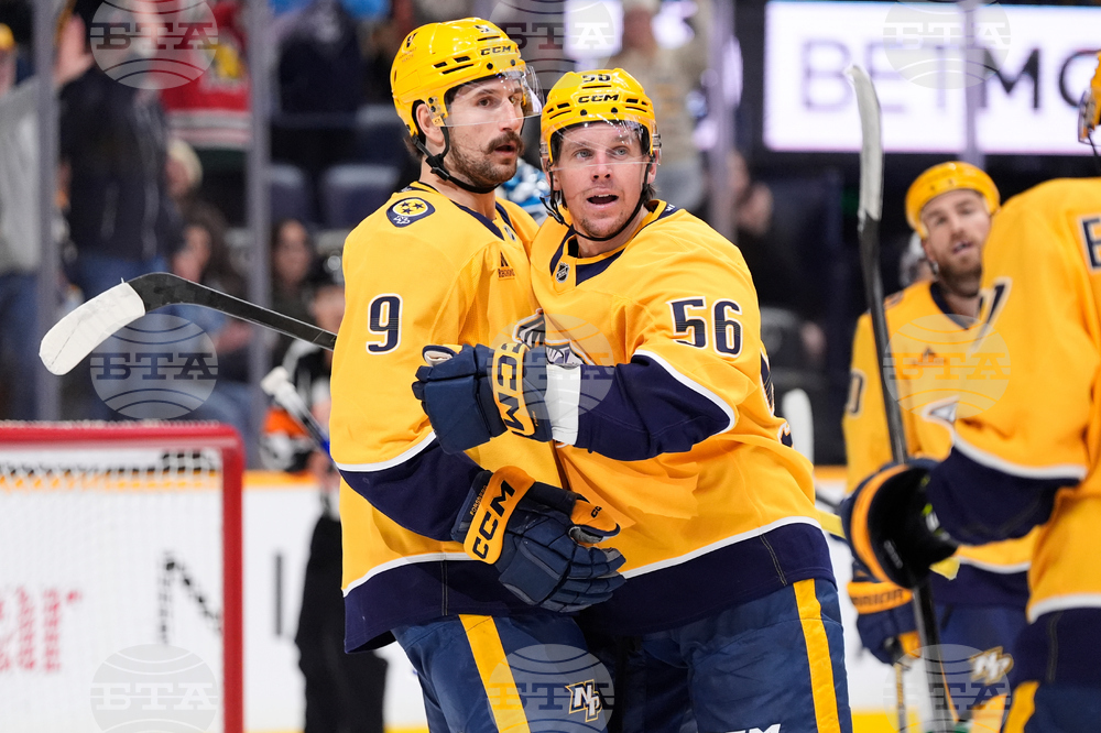 Canucks Predators Hockey