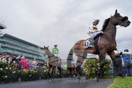 Australia Melbourne Cup