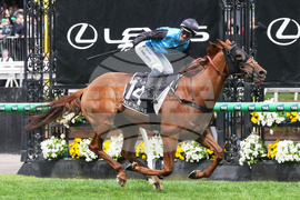 Australia Melbourne Cup