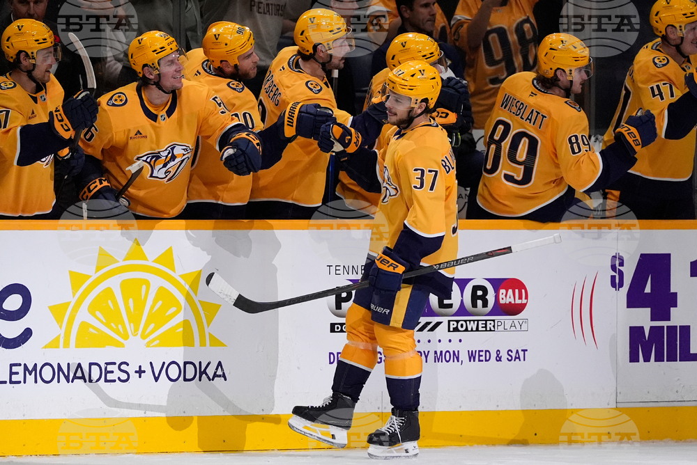 Canucks Predators Hockey