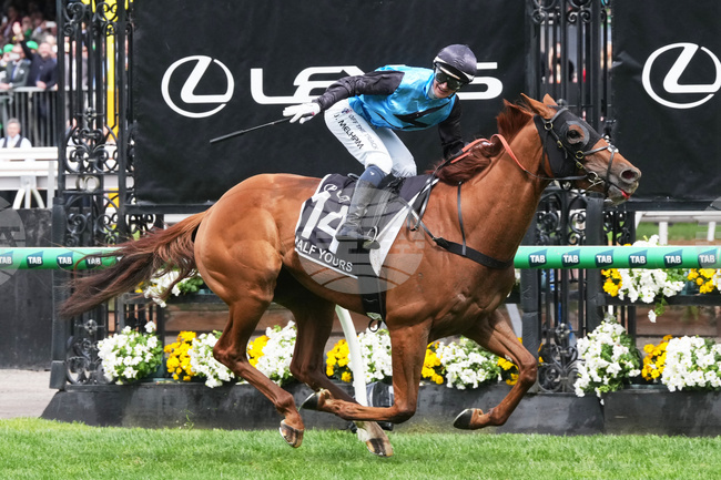 APTOPIX Australia Melbourne Cup