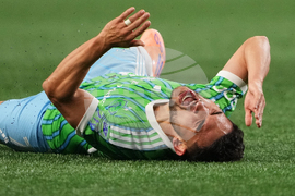 MLS Minnesota Sounders Soccer