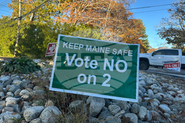 Election 2025 Maine Guns