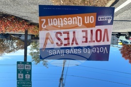 Election 2025 Maine Guns