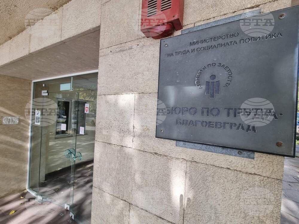 Близо 70 работни места са обявени в бюрото по труда в Благоевград, сред търсените специалисти са административни и парамедицински