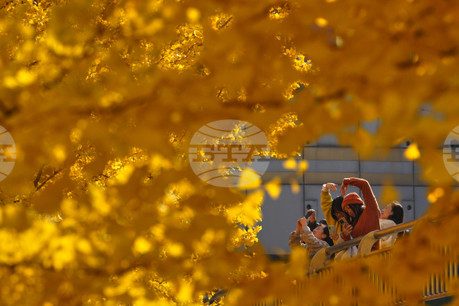 APTOPIX China Daily Life