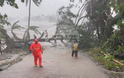 ФНА: 26 души са загинали във Филипините вследствие на тайфуна "Калмаеги"