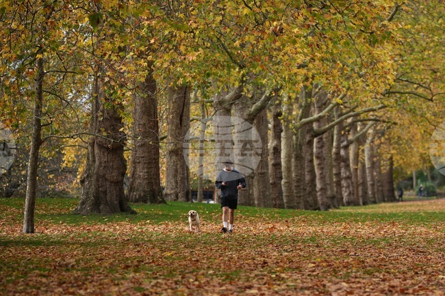 Промяна на навиците, грижи за мозъка, подходящ хранителен режим може да влияят благоприятно на здравето в дългосрочен план