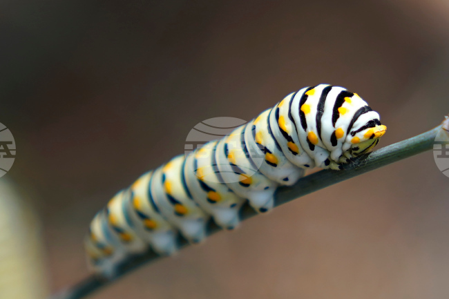 Gardening - Soft Landings