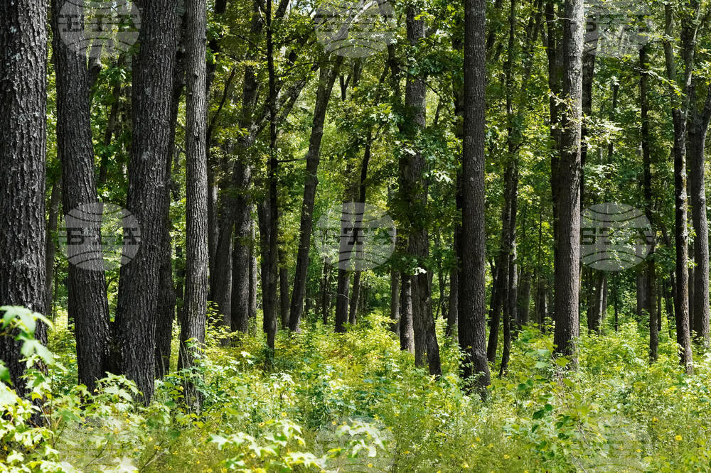 Gardening - Soft Landings