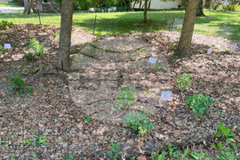 Gardening - Soft Landings