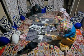 Climate Choices Sustainable Pets