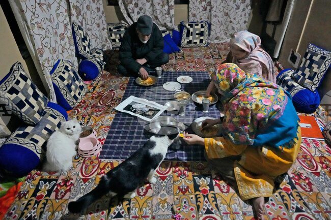 Climate Choices Sustainable Pets