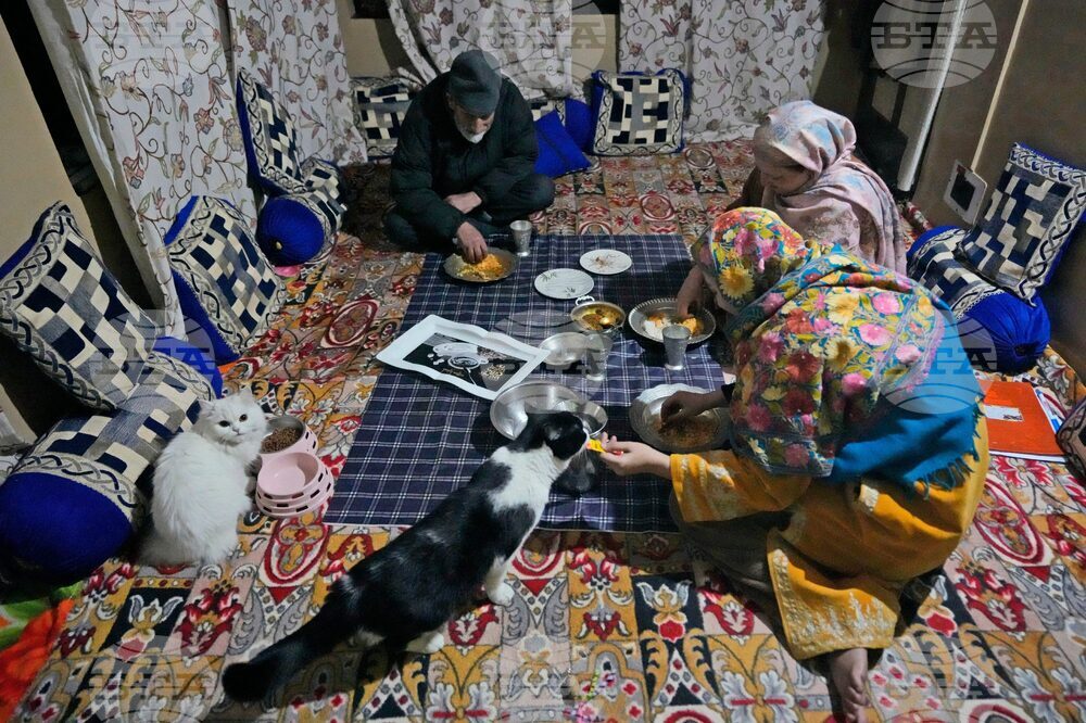 Climate Choices Sustainable Pets