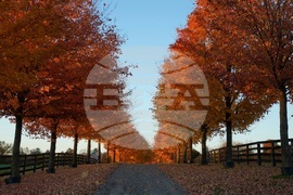 Climate Fall Foliage Photo Gallery