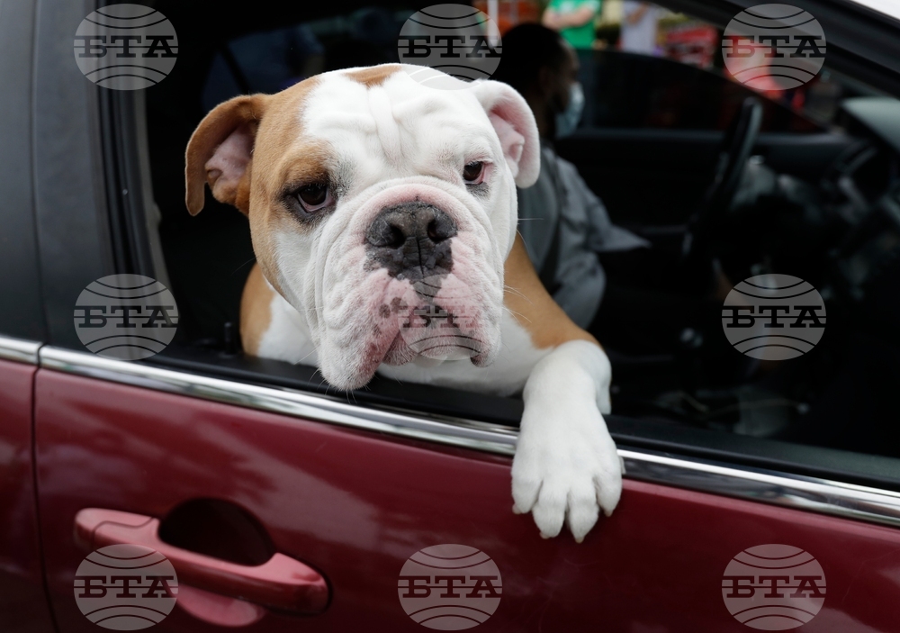 Climate Choices Sustainable Pets