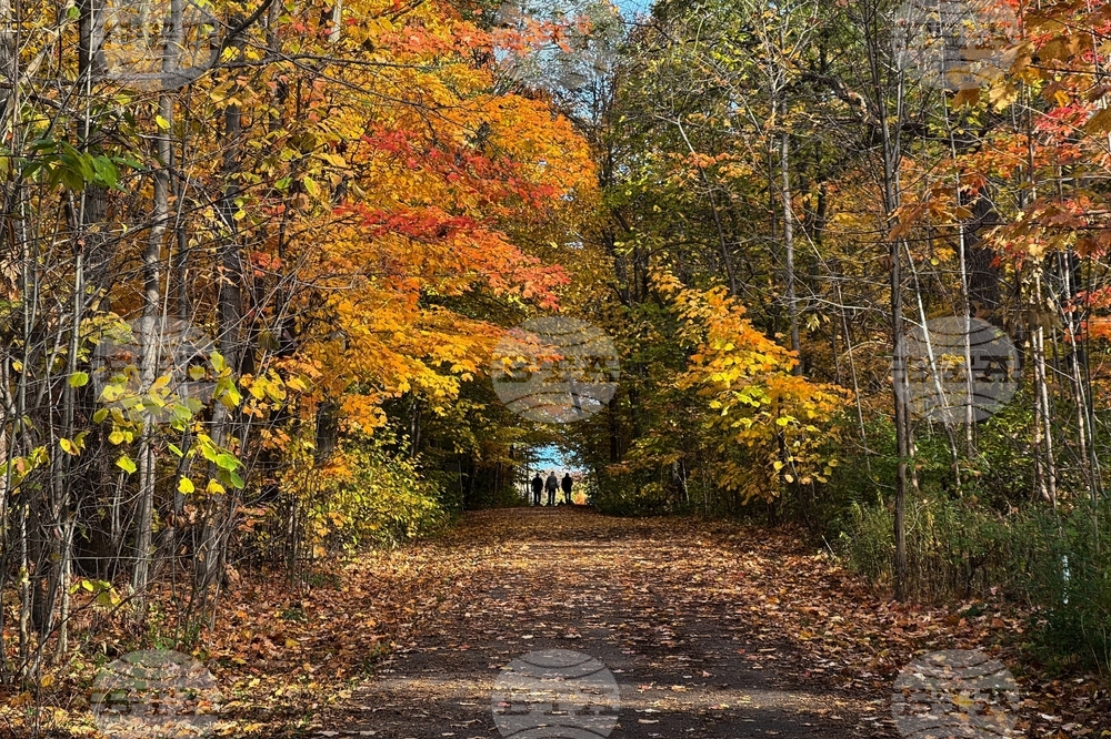 Climate Fall Foliage Photo Gallery