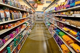 Climate Choices Sustainable Pets