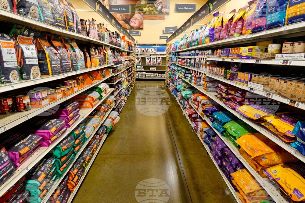 Climate Choices Sustainable Pets