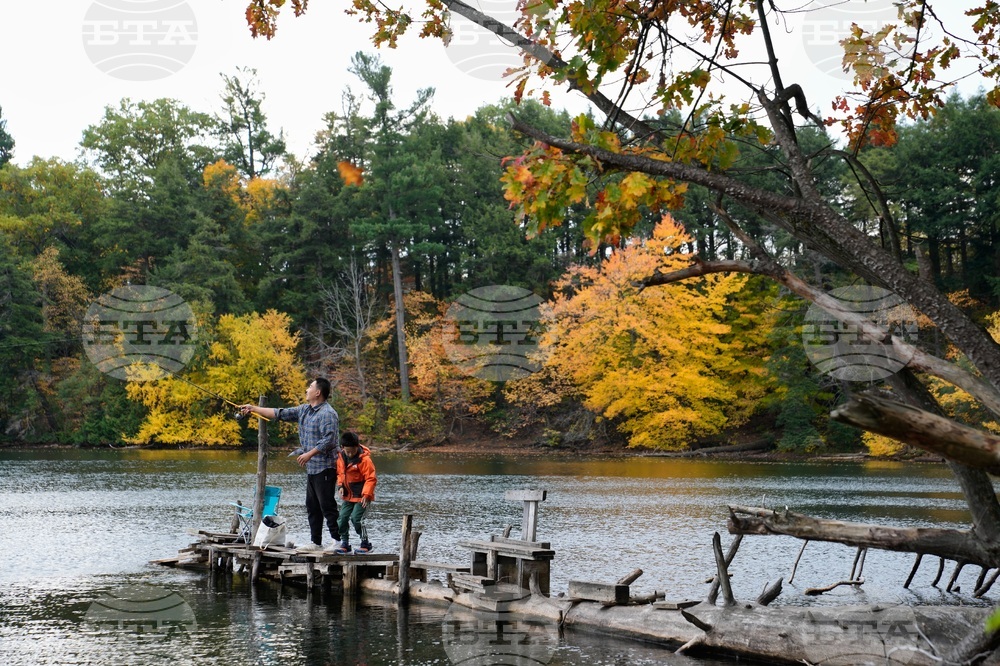 Climate Fall Foliage Photo Gallery
