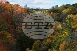 Climate Fall Foliage Photo Gallery