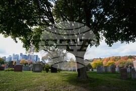 Climate Fall Foliage Photo Gallery