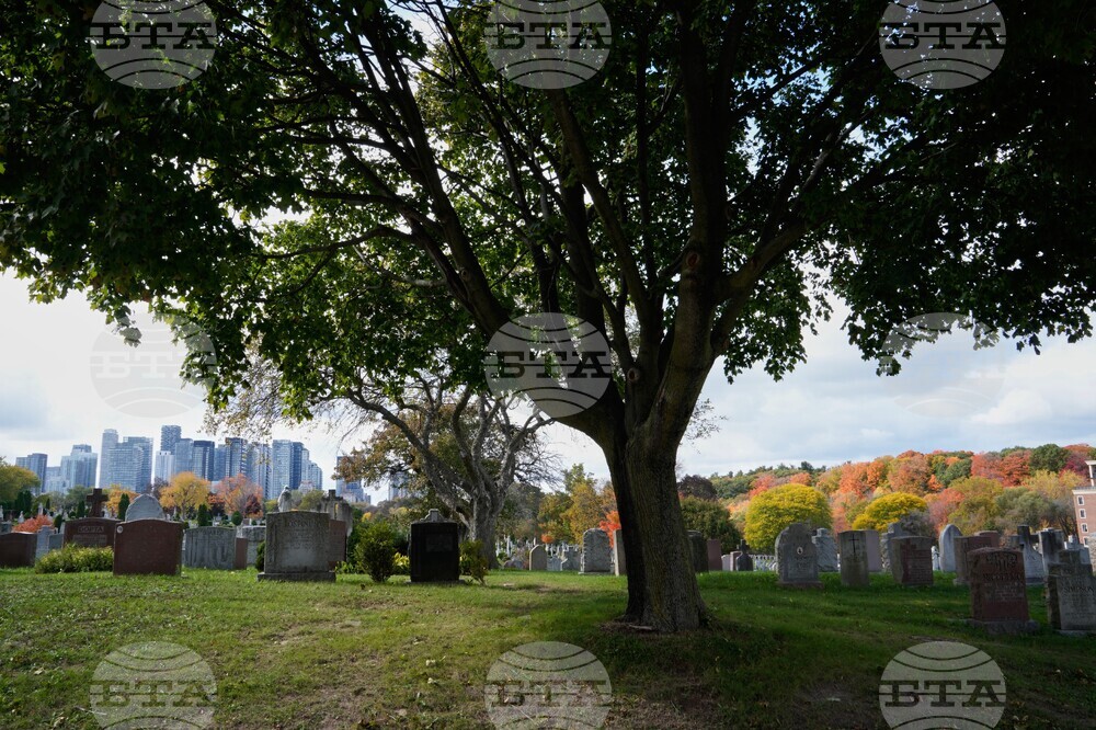 Climate Fall Foliage Photo Gallery