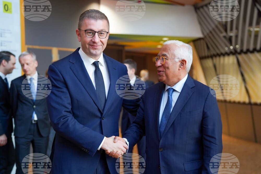 North Macedonia's PM Meets with European Council President