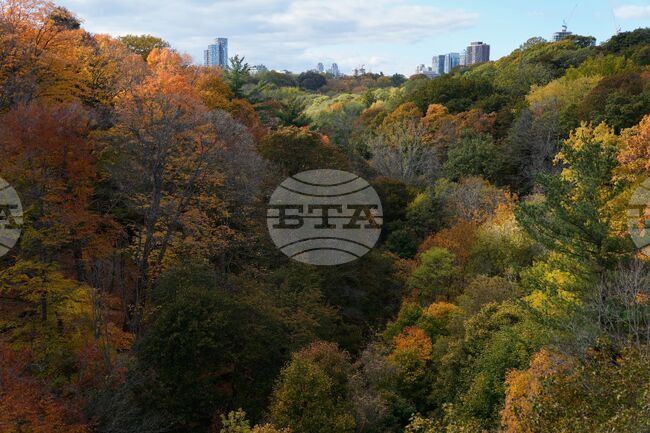 APTOPIX Climate Fall Foliage Photo Gallery