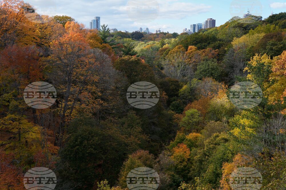 APTOPIX Climate Fall Foliage Photo Gallery
