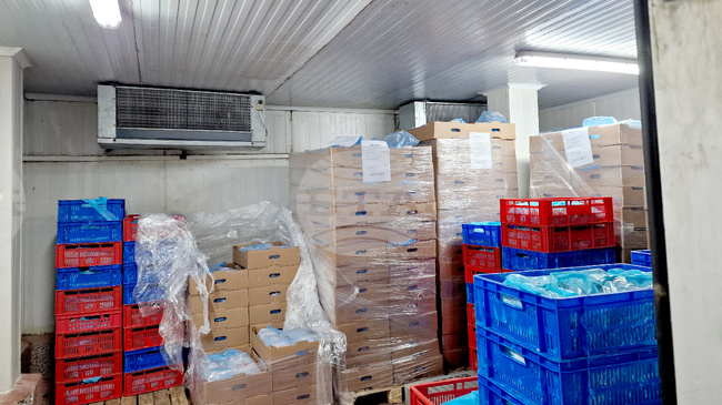 Близо 9 тона месо с неясен произход са открити при акция на прокуратурата, СДВР, БАБХ и НАП в София 