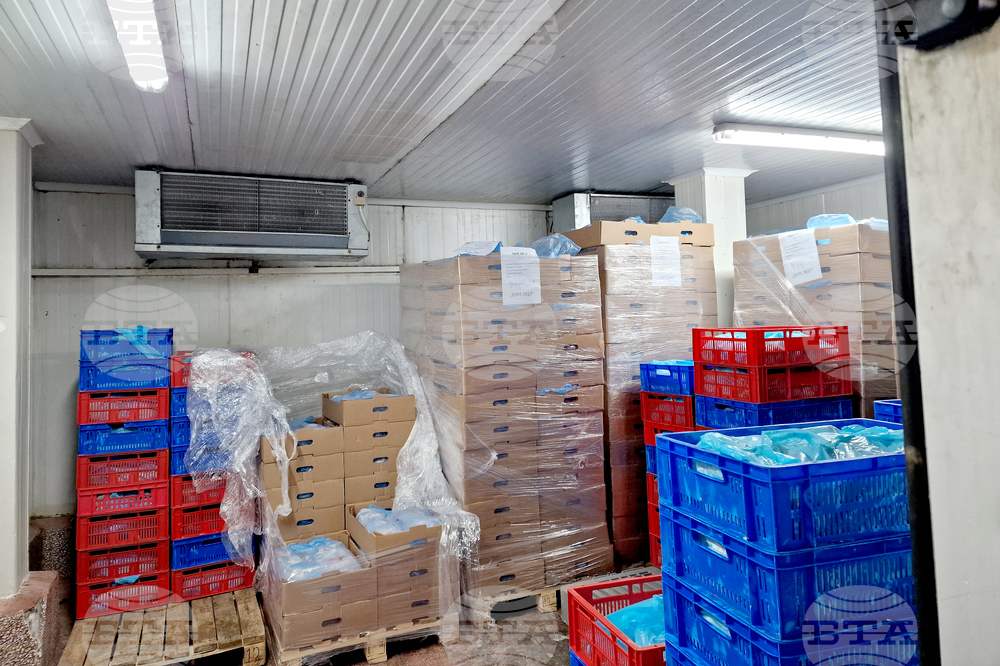 Nearly 9 Tonnes of Meat of Unclear Origin Found at Processing Plant in Sofia 