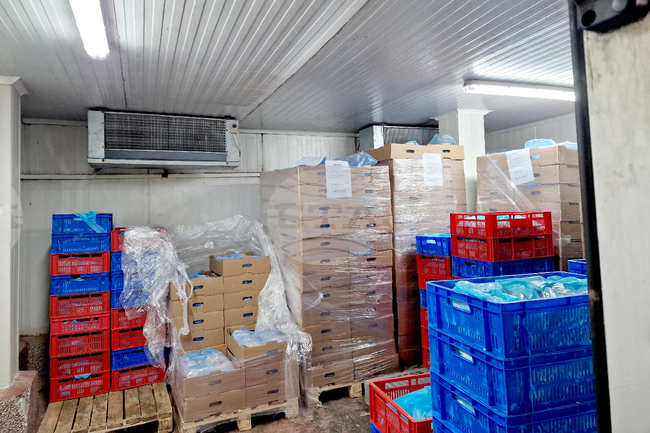 Nearly 9 Tonnes of Meat of Unclear Origin Found at Processing Plant in Sofia 