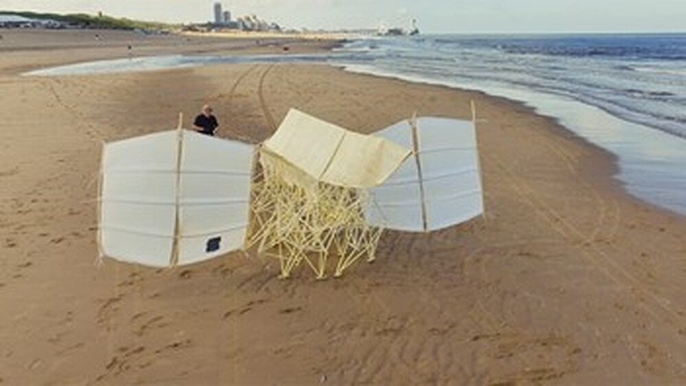 Филмът „Pipe dream“ ще бъде прожектиран днес в Берлин като част от второто издание на „Док-Арт-Фест“